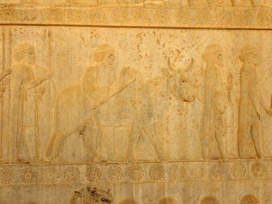 Persepolis_33