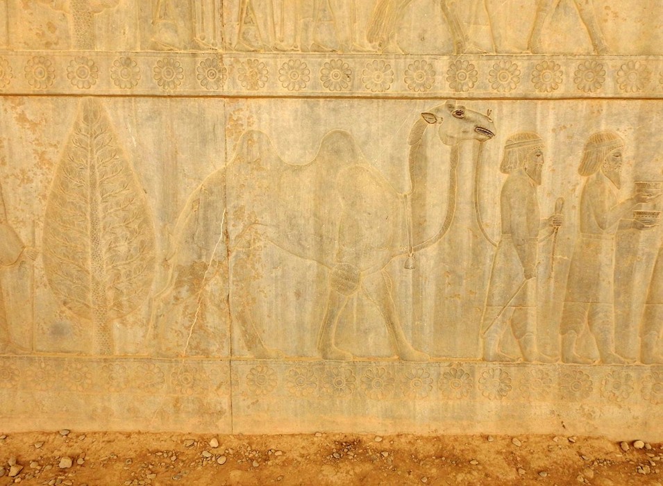 Persepolis_34