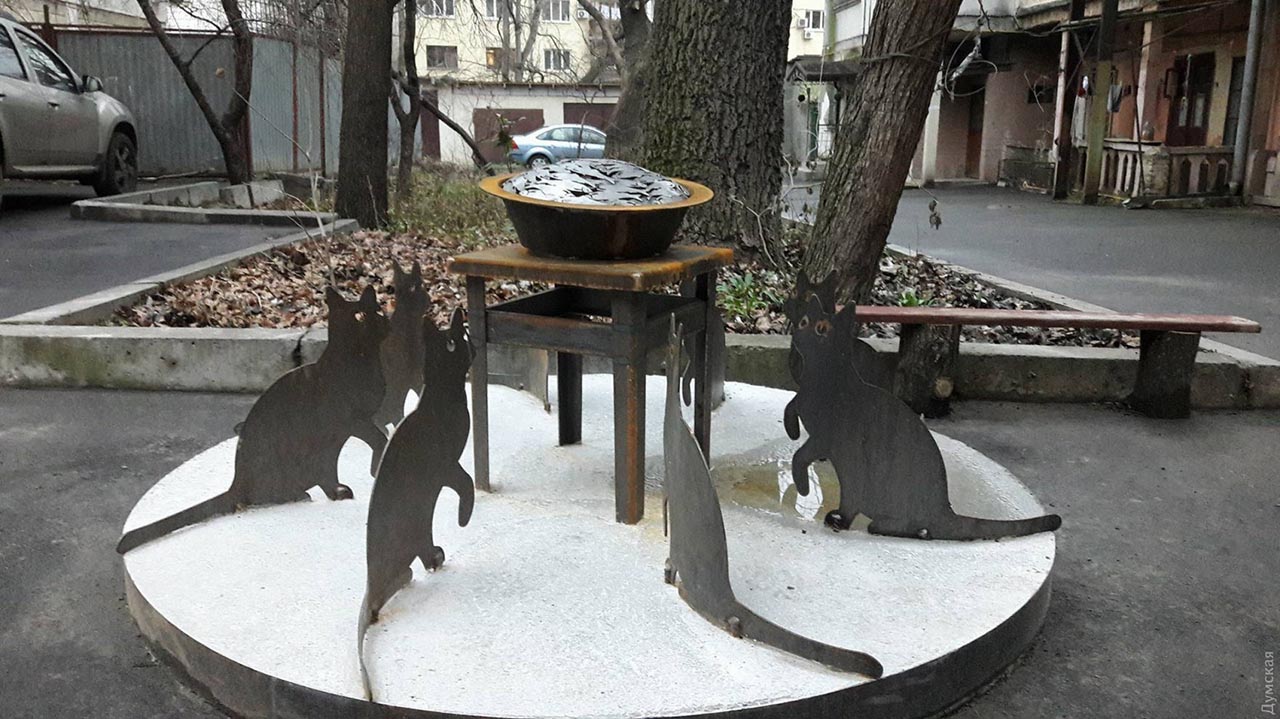 котов