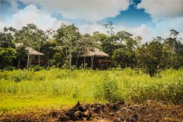 центр амазонской медицины