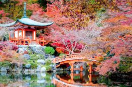 Япония тонкости этикета